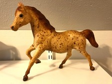 roan mare for sale  Steilacoom