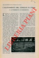 Mattirolo licheni la usato  Italia
