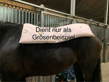 Dinkelkissen dinkelspelzkissen gebraucht kaufen  Hamburg