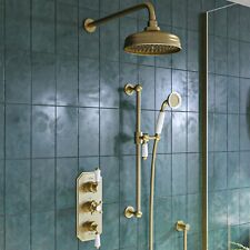 Brushed brass dual for sale  HUDDERSFIELD