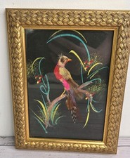 Mexican bird feather for sale  O Fallon