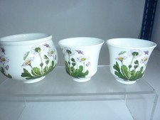 Portmeirion china botanic for sale  CANTERBURY