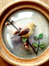 Hervey diorama yellow for sale  NORWICH