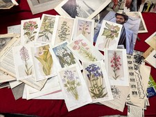 Vintage ephemera lot for sale  Steward
