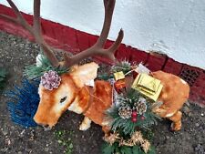 Hirsch gebraucht kaufen  Friedland-Umland
