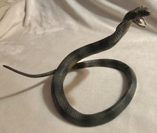 Safari ltd. cobra for sale  Philadelphia