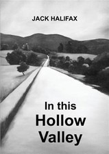 Hollow valley paperback for sale  DERBY