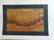 Litho ornement decoration d'occasion  Périgueux
