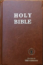 Holy bible placed gebraucht kaufen  Hamburg