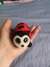 Small ladybird big for sale  LYDNEY