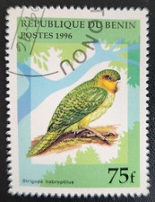 Parot bird from d'occasion  Expédié en Belgium