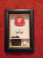 Nottingham forest plaque for sale  MIDDLESBROUGH