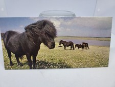Nesle merveilles carte d'occasion  Compiègne