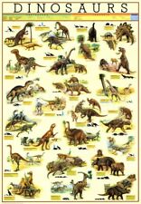 Dinosaur wall chart for sale  Shipping to Ireland