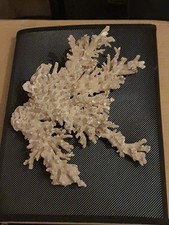 Aquarium deko großes gebraucht kaufen Aquarium deko großes gebraucht kaufen  Stadtoldendorf