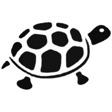 New tortoise vinyl for sale  Fenton