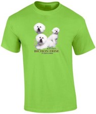 Maglietta bichon frise usato  Spedire a Italy