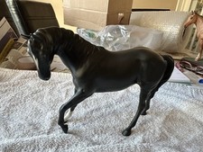 black beauty horse for sale black beauty horse for sale COALVILLE