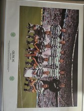 Celtic football dream for sale  HULL