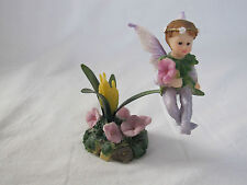 Flower fairies elfe gebraucht kaufen  Deutschland