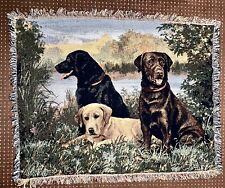 Field dreams labrador for sale  New Creek