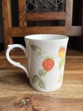Kingsbury wild strawberries for sale  GRIMSBY