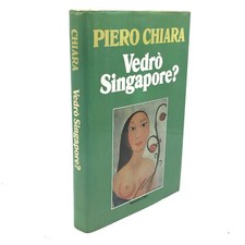 Vedrò singapore romanzo usato  Roma