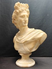 busto apollo usato busto apollo usato Castelnuovo Don Bosco