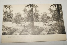 Espagne elche campagne d'occasion  Hénin-Beaumont