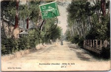 Noirmoutier allee bois d'occasion  France
