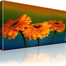 Gerbera blumen bild gebraucht kaufen  Deutschland
