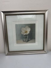 Tulip single flower for sale  Stoddard