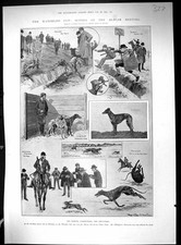 Old 1903 waterloo for sale  UK