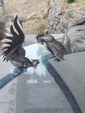 Couple coq metal d'occasion  Draguignan