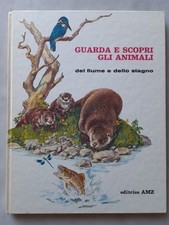 Editrice amz guarda usato  Palaia