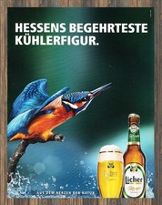 Licher bier reklame gebraucht kaufen  Hanau