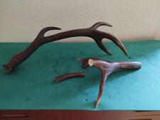 Bois mues cerf d'occasion Bois mues cerf d'occasion  France