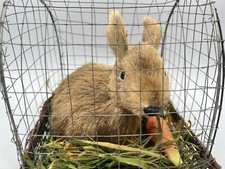 Easter bunny raffia for sale  Alameda