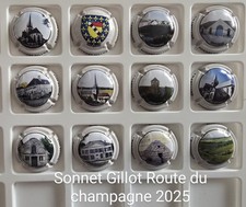 News capsule champagne d'occasion  Troyes