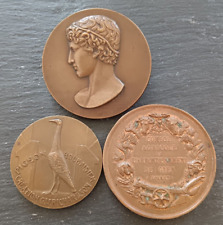 Lot médailles bronze d'occasion  Plémet