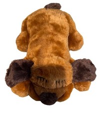snuggle puppy for sale snuggle puppy for sale Dallas