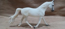 morgan mare for sale morgan mare for sale Arlington