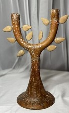 mexican tree life for sale mexican tree life for sale Garden Grove