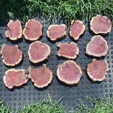 Vibrant red cedar for sale  West Haven