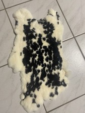 Kaninchenfell dalmatiner rex gebraucht kaufen  Bretten