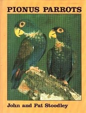 Pionus parrots john for sale  USA