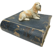 Buch basset hound gebraucht kaufen  Berlin