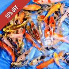 Lot assorted standard for sale  Lima
