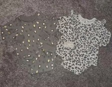 Baby girl leopard for sale  LETCHWORTH GARDEN CITY