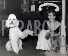 Vintage londra party usato  Roma